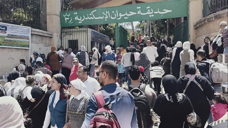 حديقة حيوان الإسكندرية،