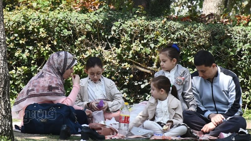 احتفال المصريين بعيد