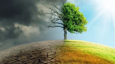  جهود وزارة البيئة لتعزيز الاستدامة وحماية الفئات الأكثر تأثرًا بأزمة المناخ