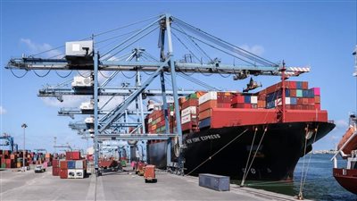 مصر تتسلم 13 ألف طن قمح عبر ميناء دمياط