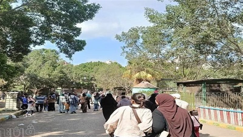 حديقة الحيوان بالزقازيق،