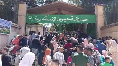 حديقة حيوان الإسكندرية كاملة العدد في إجازة عيد الفطر (فيديو)