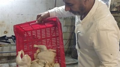 المرور على 106 منشآت وإعدام نصف طن أغذية فاسدة بمطروح (صور)