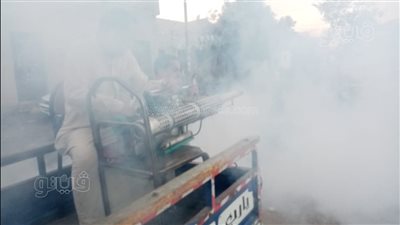 عقب شكوى الأهالي، بني سويف تواجه الذباب والباعوض بالضباب الحراري (صور)