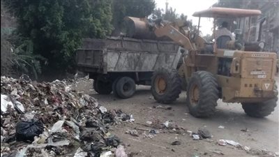 حملات نظافة مكبرة في قرى ميت غمر بالدقهلية (صور)