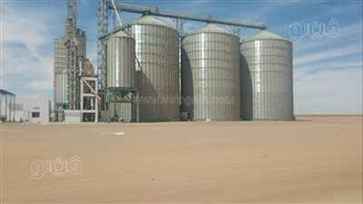 أسوان تستعد لاستقبال موسم حصاد القمح 