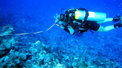 وزيرة البيئة: سفينة الغاز الليبيرية لم تتسبب في أي تلوث بخليج العقبة