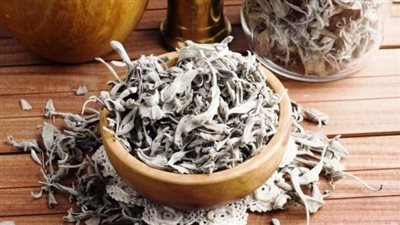 فوائد الميرمية، يخفض مستوى الكوليسترول والضغط والسكر بالدم