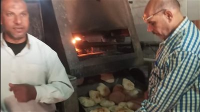 المرور على 150 مخبزا وضبط 88 مخالفة في حملات تموينية بالدقهلية (صور)