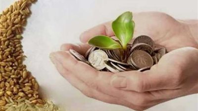 مفتي الجمهورية: زكاة الفطر 35 جنيهًا والفدية 30، وهذا موقف إخراجها نقودًا