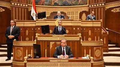 نائب أمام الشيوخ: التأمين الصحي الشامل معرض للخطر لهذه الأسباب