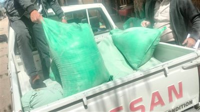  بشاير الخير، انطلاق موسم توريد الأقماح المحلية في الإسكندرية