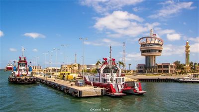 ميناء دمياط تتسلم 29 ألف طن قمح، وتداول 38 سفينة بضائع