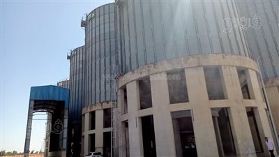 محافظ كفر الشيخ: جاهزية 7 مواقع لتجميع واستلام القمح بدسوق