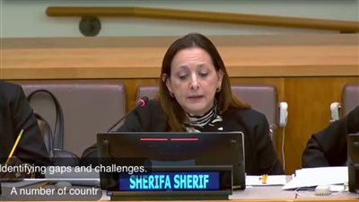 المدير التنفيذي للقومي للحوكمة تشارك في الاجتماعات السنوية للجنة بنيويورك