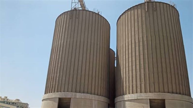 موسم توريد القمح،
