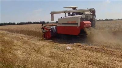 محافظ الإسماعيلية يتابع بدء استلام القمح لموسم 2024 بصوامع القنطرة شرق