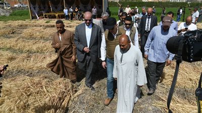 محافظ الفيوم يفتتح موسم حصاد القمح (فيديو)