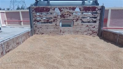 توريد 170.5 طن قمح لشون وصوامع البحيرة 