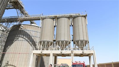 محافظ الفيوم يتفقد أعمال توريد القمح بصوامع طامية 