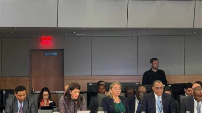 وزيرة التعاون الدولي تطالب بالتوسع في تمويل مشروعات القضاء على الفقر