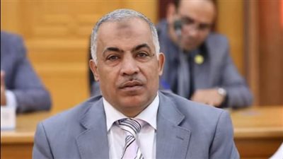 رمضان الصاوي نائبًا لرئيس جامعة الأزهر للوجه البحري 