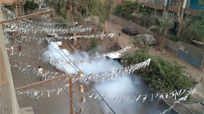 الناموس يهاجم أهالي الغربية، والصحة تدفع بسيارات الرش (فيديو)