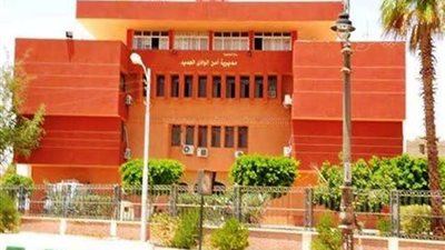 إصابة 8 أشخاص خلال مشاجرة بقرية الدهوس في الوادي الجديد 