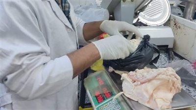  إعدام 35 كيلو أغذية وتحرير 4 محاضر وعرضها على النيابة العامة بالوادي الجديد 