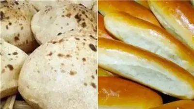 أسعار الخبز السياحي والفينو بعد التراجع (إنفوجراف) 