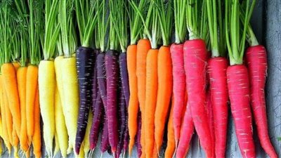 فوائد الجزر الصحية، يقوي المناعة ويحمي من السرطان