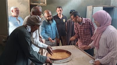 توريد 543 طن قمح لشون وصوامع سوهاج على مدار 4 أيام