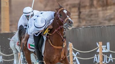 مصر تستعد لتنظيم البطولة العربية العسكرية للفروسية بنسختها الأولى