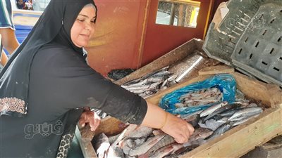 30 سنة شقاء.. أم محمد أشهر بائعة سمك في طنطا: جوزت بناتي من شغلي وبساعد زوجى المريض (فيديو)