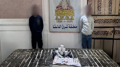 ضبط 3 عناصر إجرامية بحوزتهم حشيش وأسلحة نارية بـ 2.2 مليون جنيه 