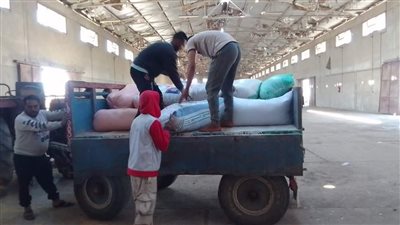 صوامع وشون الدقهلية تستقبل 9146 طن قمح