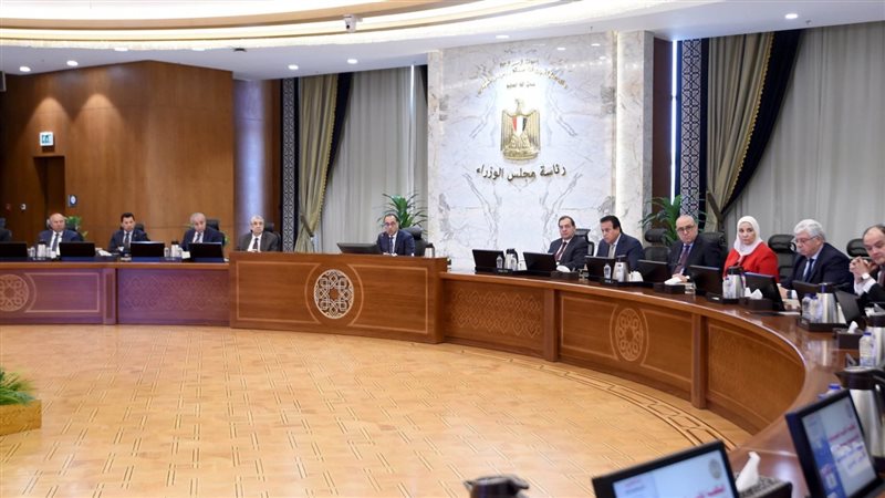 مجلس الوزراء،فيتو