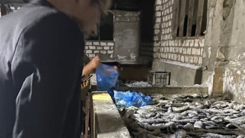  ضبط 5 أطنان أسماك