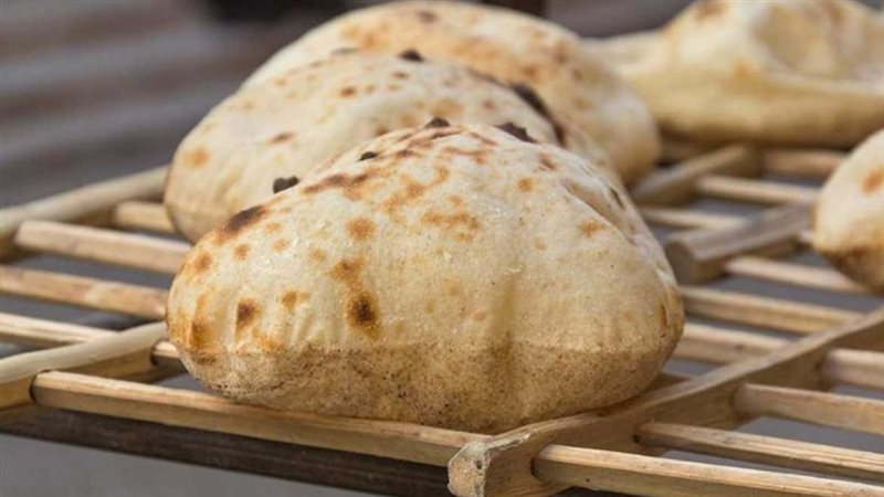 العيش السياحي والفينو،فيتو