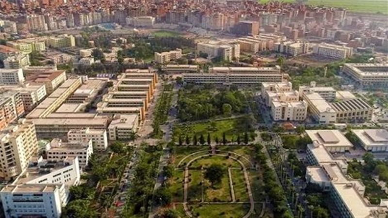 جامعة المنصورة، فيتو