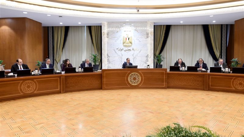 مجلس الوزراء، فيتو
