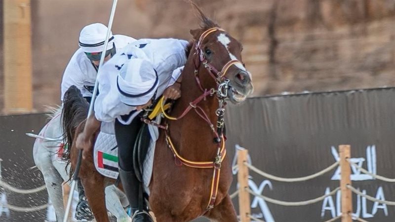 البطوله العربيه العسكرية