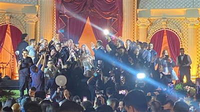 عمرو دياب يحيي حفل زفاف نجل محمد فؤاد (فيديو وصور)