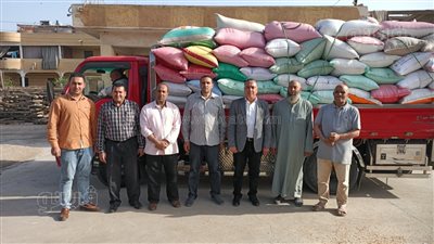 توريد 2600 طن قمح منذ بدء الحصاد في كفر الشيخ
