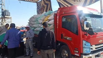 صوامع الدقهلية تستقبل 15 ألف طن قمح منذ بدء موسم الحصاد (فيديو وصور)