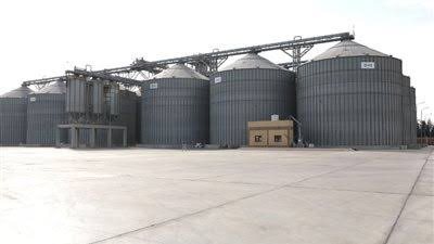 ارتفاع معدلات توريد القمح لـ 10.3 آلاف طن بالوادي الجديد 