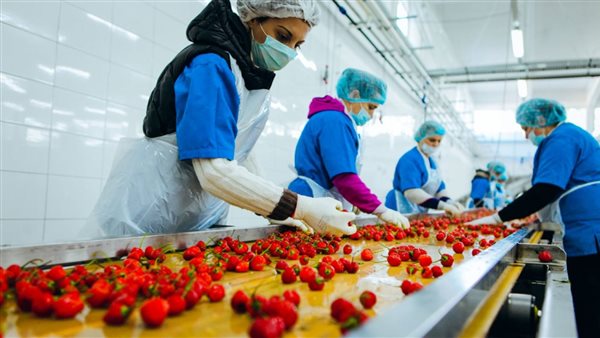 صادرات الصناعات الغذائية تخترق 11 دولة خلال أول شهرين من عام 2024