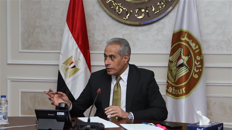 حسن شحاتة وزير العمل،