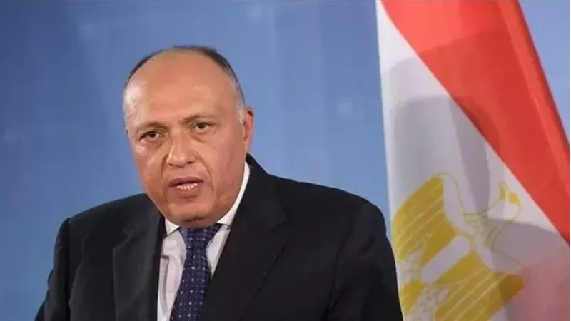 سامح شكرى وزير الخارجية،