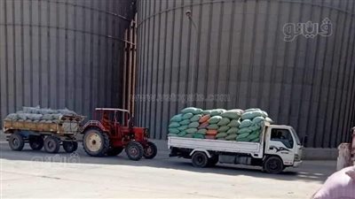 توريد 2848 طنًا من محصول القمح إلى صوامع المنيا خلال 5 أيام 